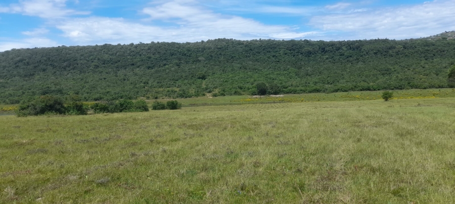 Commercial Property for Sale in Komga Rural Eastern Cape